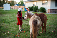 Micaela's Family-Horses 9-Dec-16